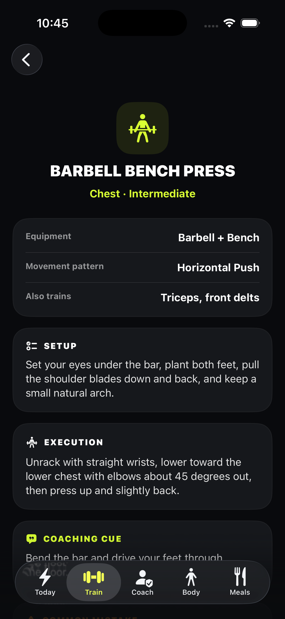 IronLog movement library showing bench press guidance